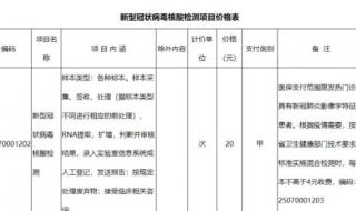 核酸结果一般多久会出